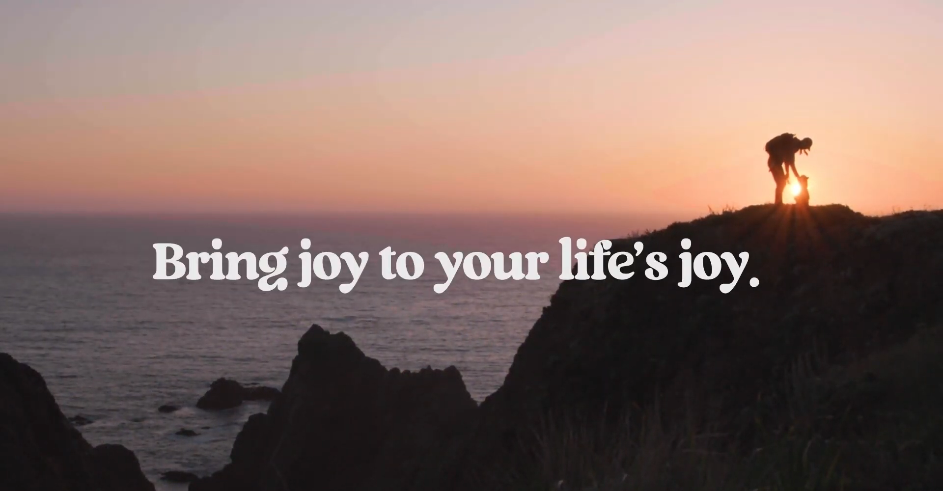 Translation missing: en.sections.video.load_video