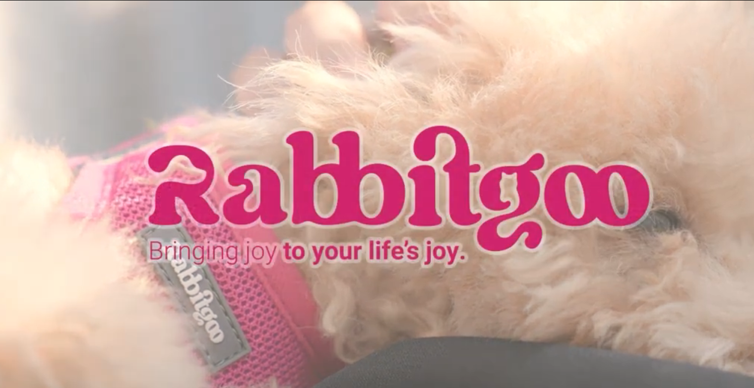 Translation missing: en.sections.video.load_video