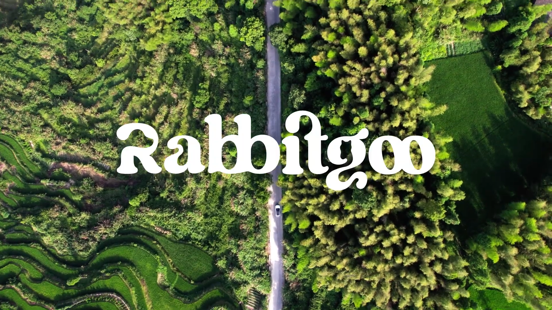 Translation missing: en.sections.video.load_video