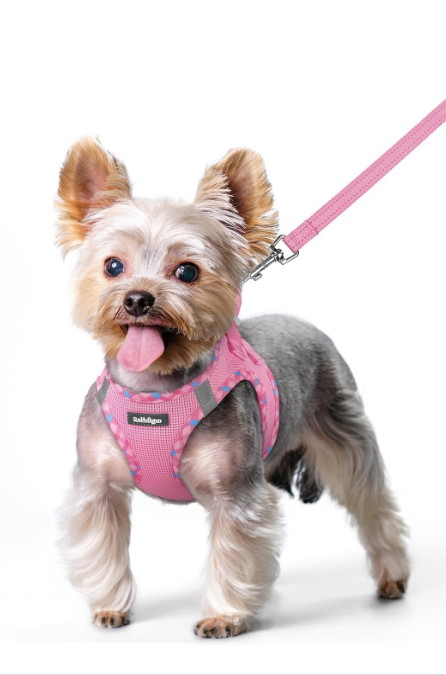 Minifit Small Dog Harness and Leash Set - Pink & Plaid Trim