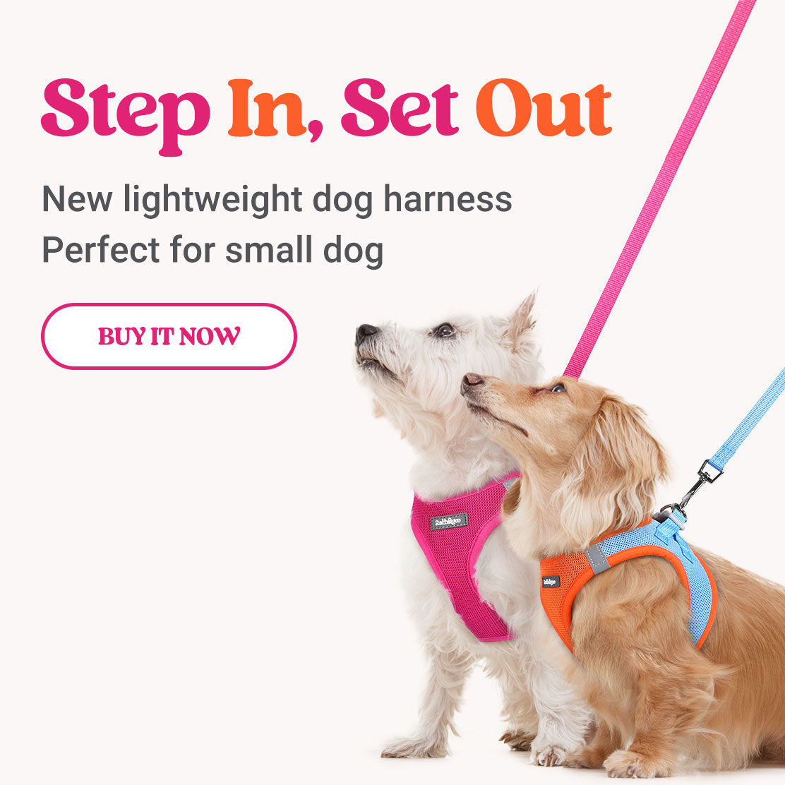 2025 rabbitgoo small dog harness