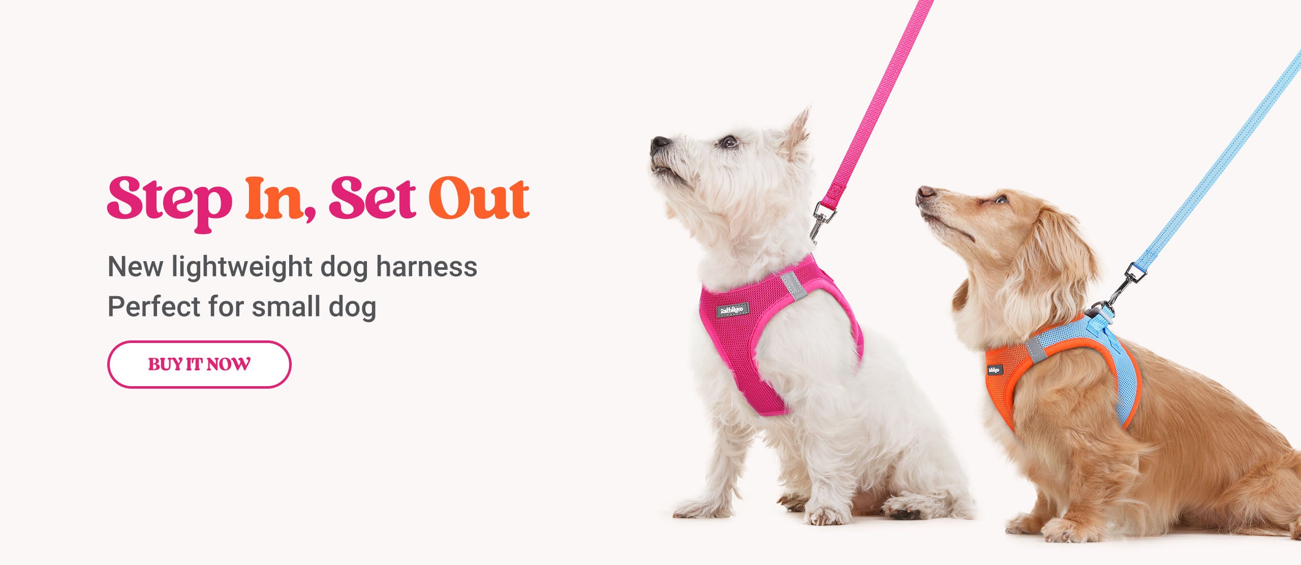 2025 rabbitgoo small dog harness