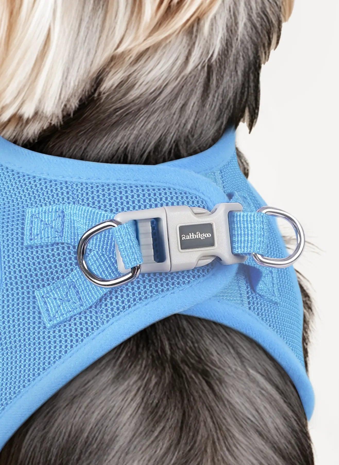 Minifit Small Step-in Dog Harness - Blue