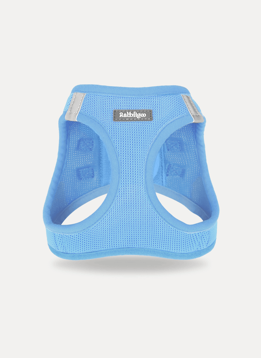 small dog harness - blue