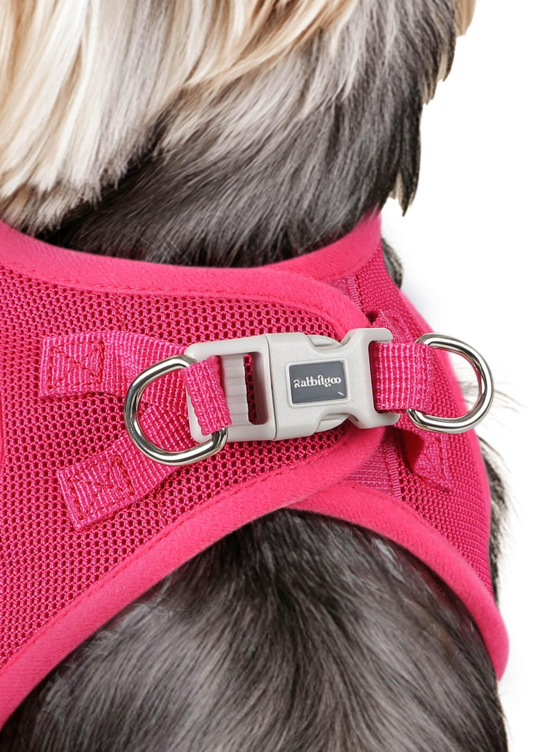 Minifit Small Dog Harness and Leash Set - Rose Red