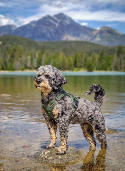 Escape Proof Tactical Dog Vest Harness - Green
