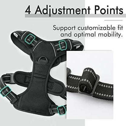 Rabbitgoo No Pull Dog Harness - Black 