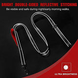 rabbitgoo Rabbitgoo Padded Traffic 2 Handles Dog Leash