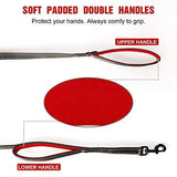 rabbitgoo Rabbitgoo Padded Traffic 2 Handles Dog Leash