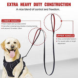 rabbitgoo Rabbitgoo Padded Traffic 2 Handles Dog Leash