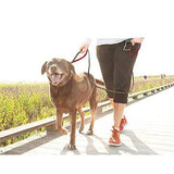 rabbitgoo Rabbitgoo Padded Traffic 2 Handles Dog Leash