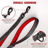 rabbitgoo Rabbitgoo Padded Traffic 2 Handles Dog Leash
