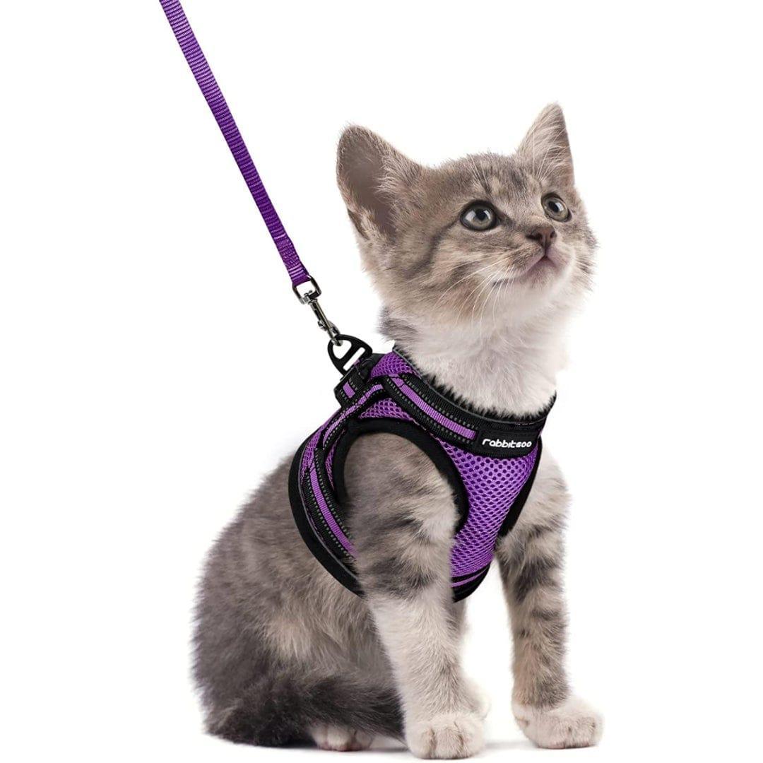 Rabbitgoo Escape Proof Cat Harness and Leash Set, with Reflective Strip - Purple