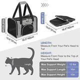 rabbitgoo Soft-Sided Travel Carrier for Small Pets